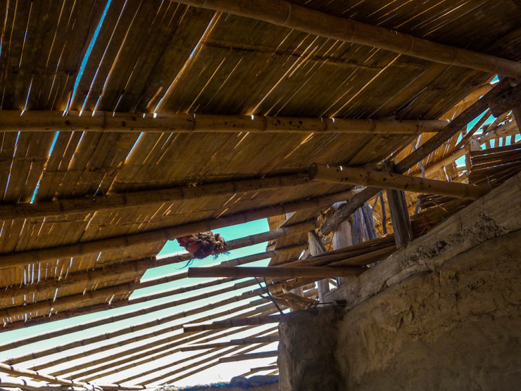 20150806-P1080343 - Outer Roof Bamboo03